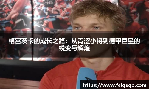 格雷茨卡的成长之路：从青涩小将到德甲巨星的蜕变与辉煌