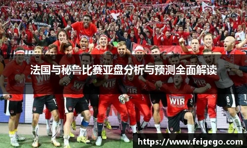 法国与秘鲁比赛亚盘分析与预测全面解读